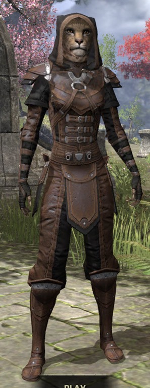 Eso elsweyr expansion